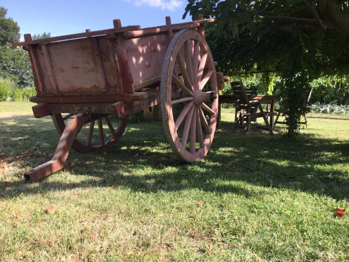 Casa ridente nella valle del Menotre con giardino Pale Esterno foto